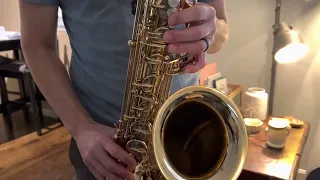 Selmer Super Action 80 "Series I" Tenor Saxophone Demo, www.dcsax.com