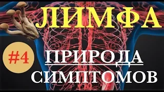 ЛИМФАТИЧЕСКАЯ СИСТЕМА - симптомы перегрузки #4