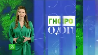 Прогноз погоды (НТВ-Беларусь HD, 23.02.2023)