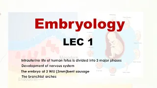 Embryology - LEC 1