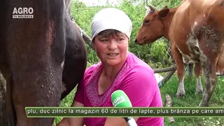 Cine nu lucrează, nu bea lapte proaspăt – AGRO TV News