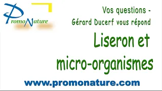 Questions réponses de Gérard Ducerf : Le liseron et les micro-organismes