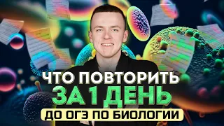 Что повторить за 1 день до ОГЭ по биологии?