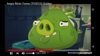 Angry Birds Edited, Stalker