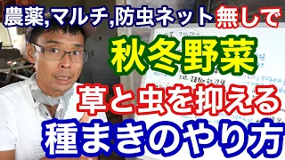 【保存版】農薬･ビニールマルチ･防虫ネットを使わずに秋冬野菜を育てるポイント徹底解説《無農薬/無肥料/自然農/自然栽培》