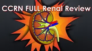 CCRN Renal Review - FULL