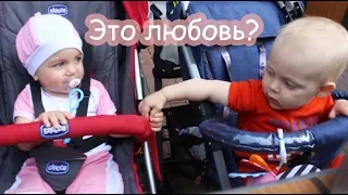 VLOG Ищу кота в Киеве. Самая тёплая встреча.