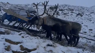 Дорога сквозь каменистую местность / Полярный Урал / Road through rocky terrain / Polar Urals