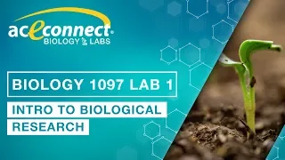Biology Lab || Intro to Biological Research