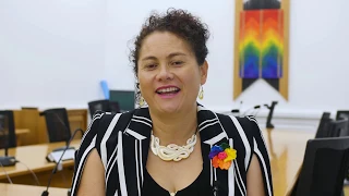 Louisa Wall; Rainbow Voices interview | NZ Parliament