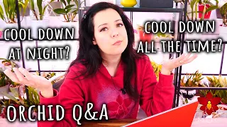 How long to cool down Phalaenopsis Orchids to get flowers? - Monthly Q&A #1