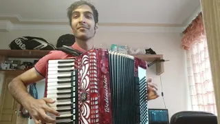 braziiil...accordion performance