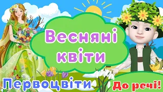 Весняні квіти. Первоцвіти/Розповідь та опис квітів