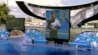 Believe   The Complete Shamu Show at Sea World