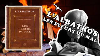 L'Albatros | Les Fleurs du Mal - Livre audio complet en Français