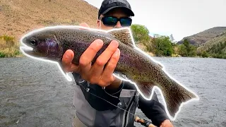 Here's How to Catch Big Trout Fly Fishing - Flies to Use - Where to Fish - Deschutes Salmonfly Hatch