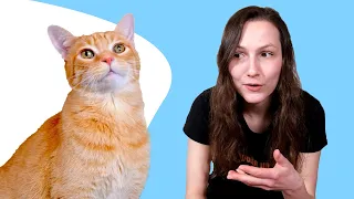 8 Facts You Should You Know About Male Cats (#6 Is Sad)