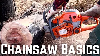 Chainsaws 101: Chainsaw Safety Basics | Safety Tips, Gear | How to Use a Chainsaw Safely