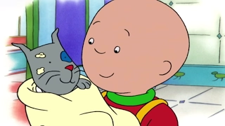 Funny Animated cartoon for Kids | Nasty Food | Caillou and Gilbert | BEST Cartoon for Children