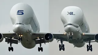 Airbus Beluga VS Beluga XL at Chester Hawarden Airport