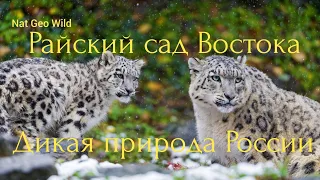 Nat Geo Wild. Дикая природа России. Райский сад Востока.