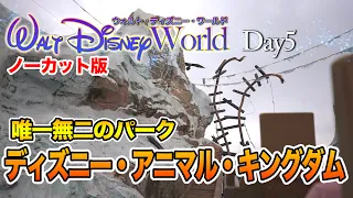 【ノーカット版】Day5 ディズニー・アニマル・キングダム  / ウォルト・ディズニー・ワールド  ： Animal Kingdom  /   Walt Disney World