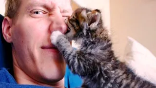 Unmistakable Ways Your Cat Says ‘I Love You’ To Their Owner - Cat and Human Moments