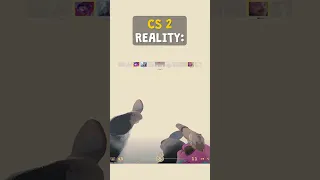CS2. Expectation vs reality