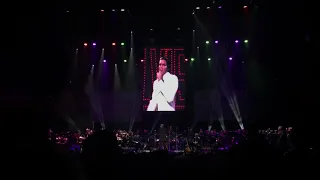 Elvis Presley Live in Concert - If I Can Dream