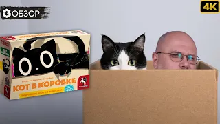 КОТ В КОРОБКЕ - ОБЗОР | настольная игра Cat in the Box | Geek Media 4K