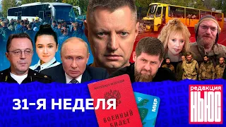 Редакция. News: 31-я неделя