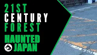 Haunted Japan: 21st Century Forest (The Cursed Parking Lot)