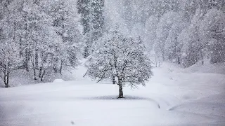 Ауадхара. Горная Абхазия