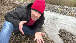 What Is An Agate? Rockhounding Western Washington - Agates, Jasper Petrified Wood