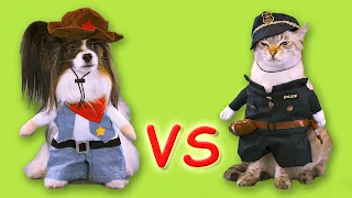 КТО СИЛЬНЕЕ? 😺 Кошки ПРОТИВ Собак! 🐶 НОВАЯ БИТВА 2020! Cats vs Dogs #2 OMG!