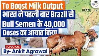 India to Import Bull Semen from Brazil to Boost Milk Production | UPSC GS3