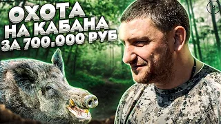 Охота на КАБАНА и  Тетерева за 700 000 руб.  Олигархи Молдаване шиканули на Охоте в России