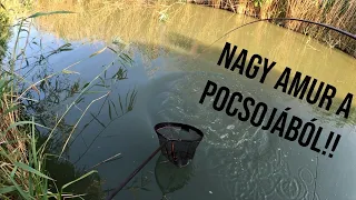 Nagy amur a KANÁLISBÓL!!