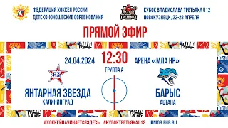 Кубок Третьяка U12. Янтарная Звезда – Барыс | 24.04.2024, 12:30 МСК