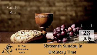 Sixteenth Sunday in Ordinary Time | World Day of Grandparents and the Elderly  | July 23, 2023