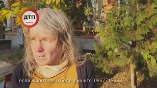 По кошке Машке и Зоолюкс: напомним, 14.10.2019 после ДТП умерла кошка. Как оказалось, вечером 13.10.