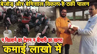 फार्मिंग से कमाने है पैसे तो करें टर्की की फार्मिंग ! 300 रुपये किलो की बिक्री Turkey Bird Farming