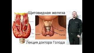 Щитовидная железа – лекция доктора Голода