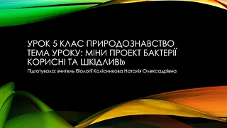 Природознавство 5 клас Бактерії корисні та шкідливі. Міні-проект