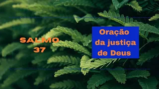 Oração Poderosa de Confiança na Justiça de Deus - Salmo 37