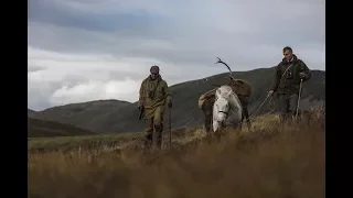 The Highland Stalker