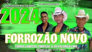 SELECÃO DAS MAIS TOCADAS FORROZÃO NOVO 2024 GAROTOS TROPICAL E OS KALUNGAS .COM