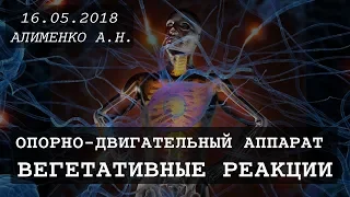 Опорно двигательный аппарат  Вегетативные реакции. Алименко А.Н. (16.05.2018)