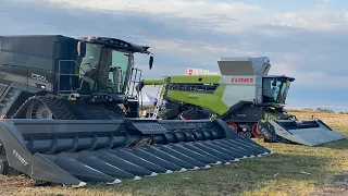 8 Combines in one Field | Farm Progress Show 2020 (Fendt Ideal T9, JD X9, Lexion 8700, CaseIH 9250)
