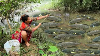 Unique Fishing: Catch A Lot Of Fish, Bushcraft Survival - Cooking Fish, OFF GRID LIVING